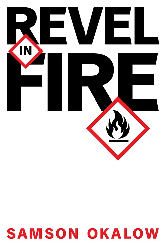 cover of novel Revel In Fire